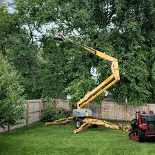 Best Lawn Dethatching  in Milton, GA