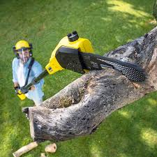 Best Sod Installation  in Milton, GA