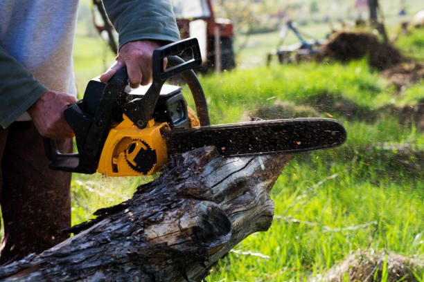 Best Lawn Renovation and Restoration  in Milton, GA